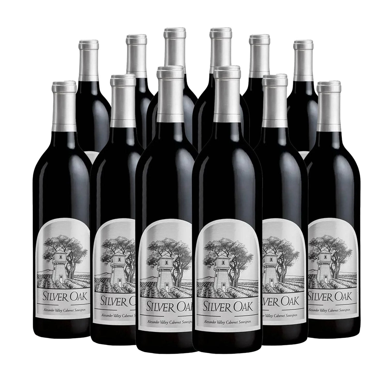 Silver Oak Alexander Valley Cabernet Sauvignon 750ml - Liquor Boutique