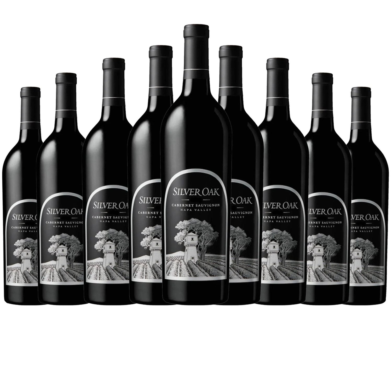 Silver Oak Cabernet Sauvignon Napa Valley 750ml - Liquor Boutique