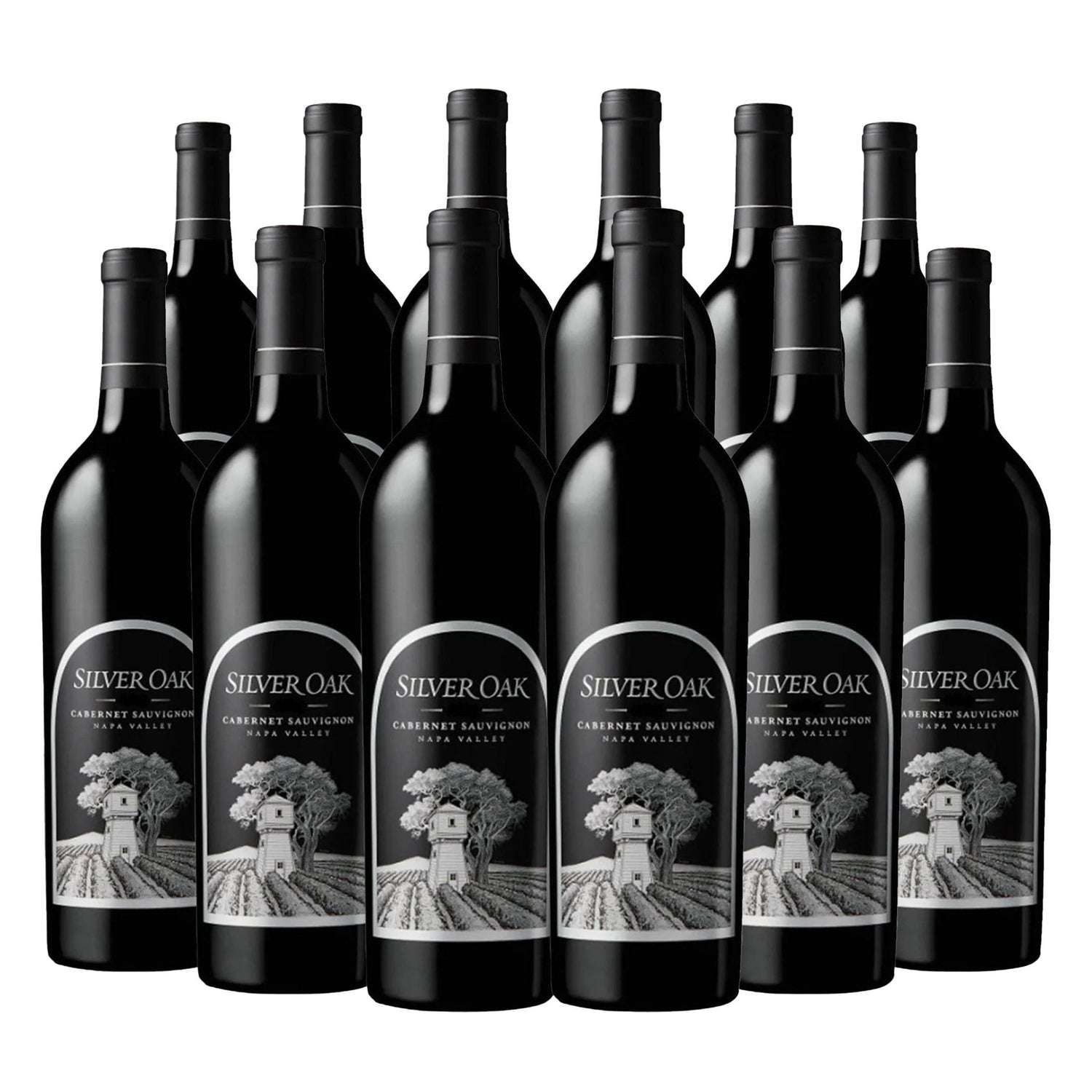 Silver Oak Cabernet Sauvignon Napa Valley 750ml - Liquor Boutique