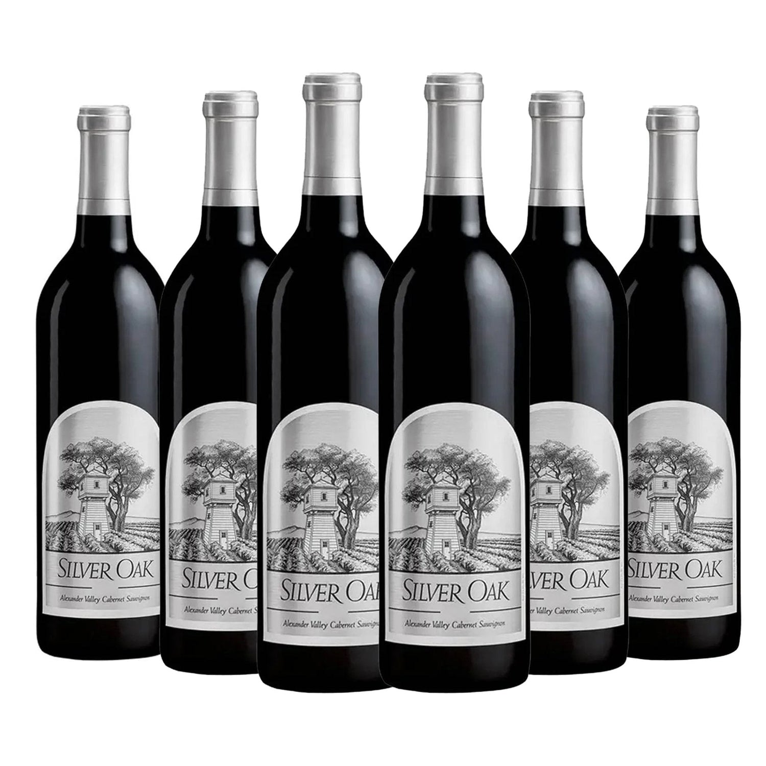 Silver Oak Alexander Valley Cabernet Sauvignon 750ml - Liquor Boutique