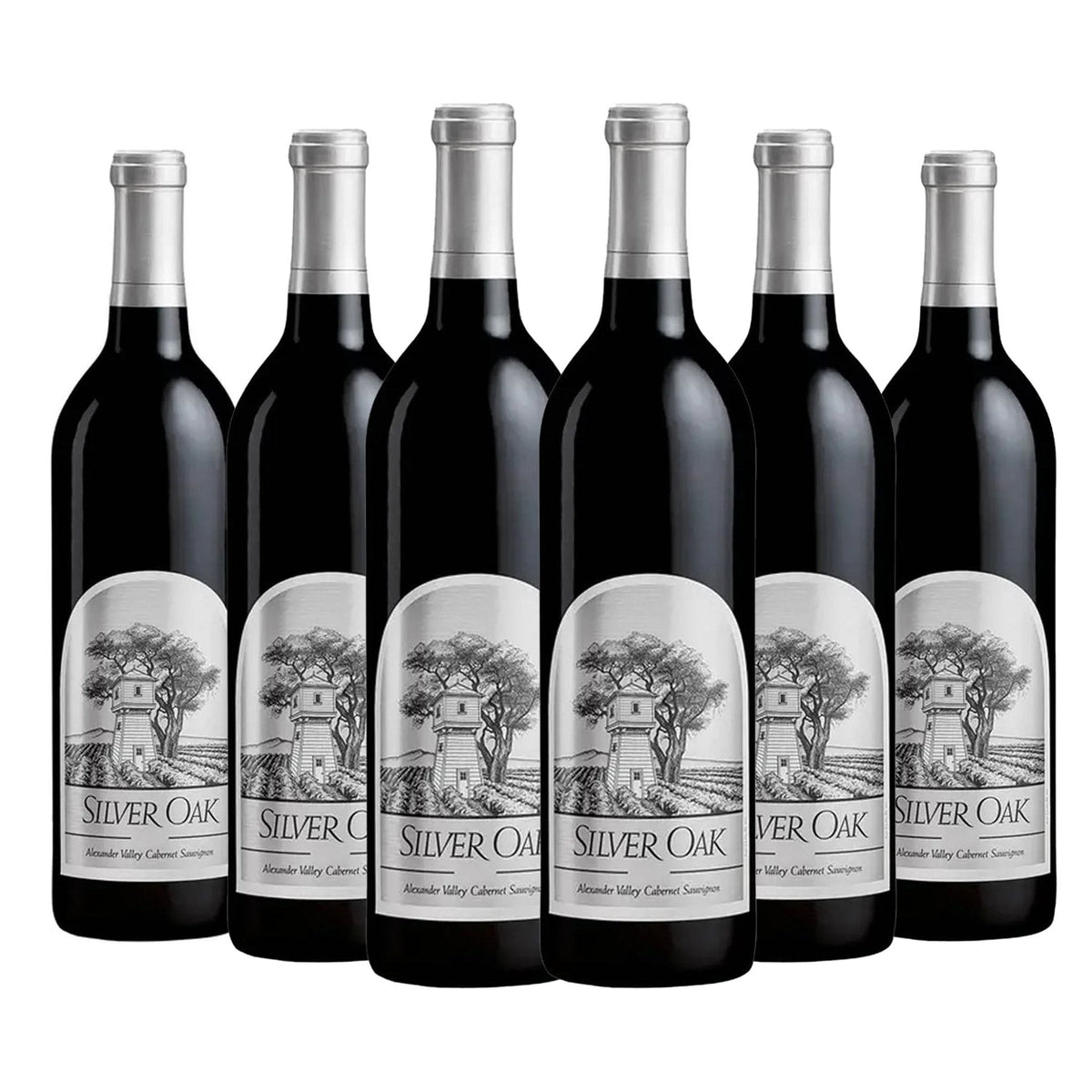 Silver Oak Alexander Valley Cabernet Sauvignon 750ml - Liquor Boutique