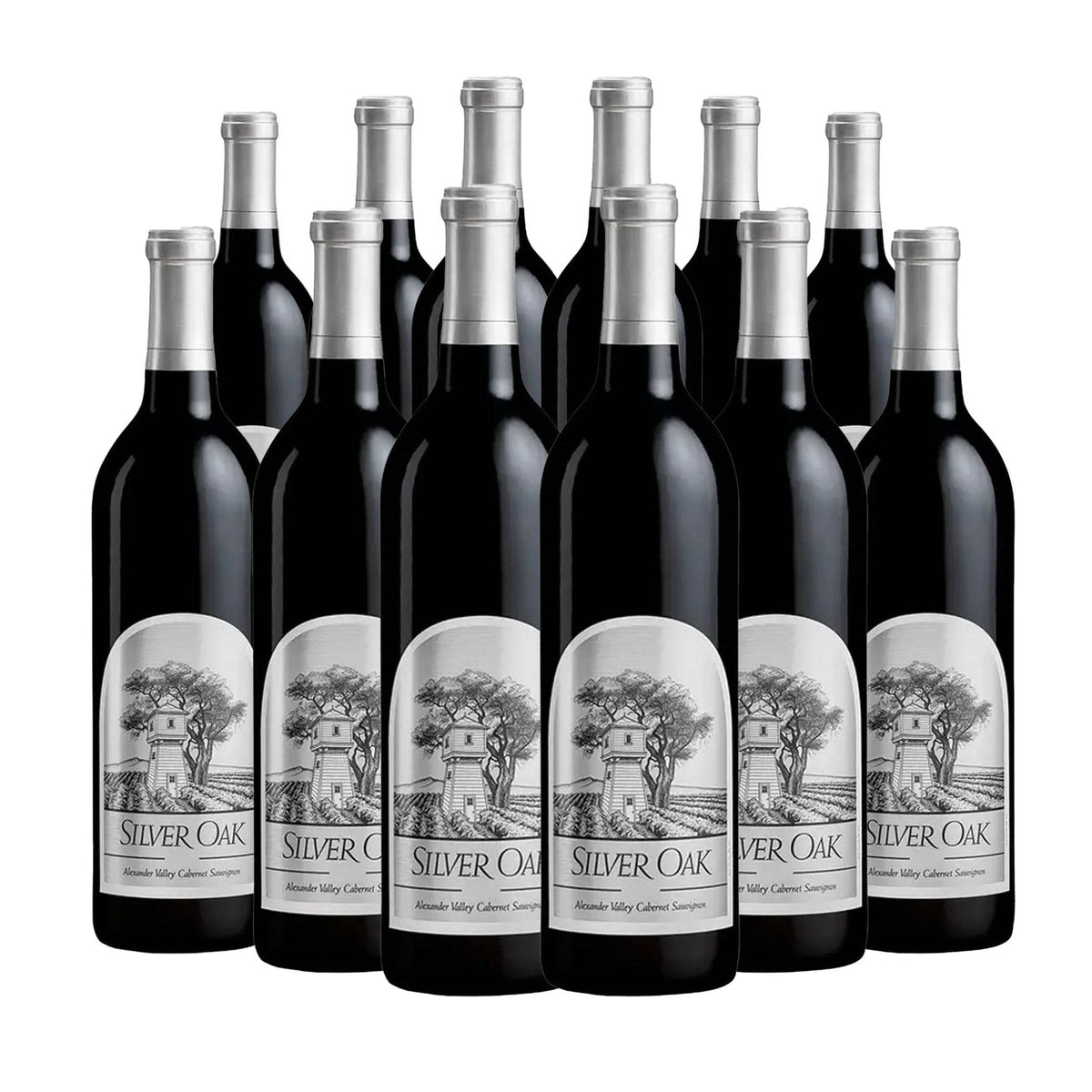 Silver Oak Alexander Valley Cabernet Sauvignon 750ml - Liquor Boutique