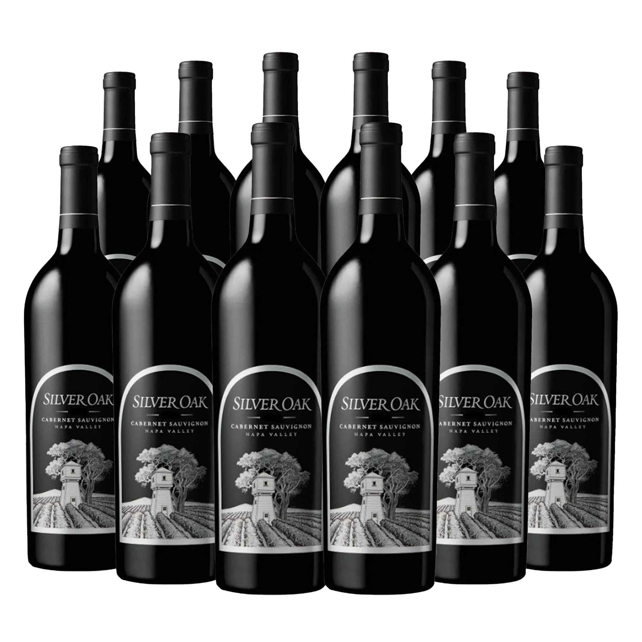 Silver Oak Cabernet Sauvignon Napa Valley 750ml - Liquor Boutique