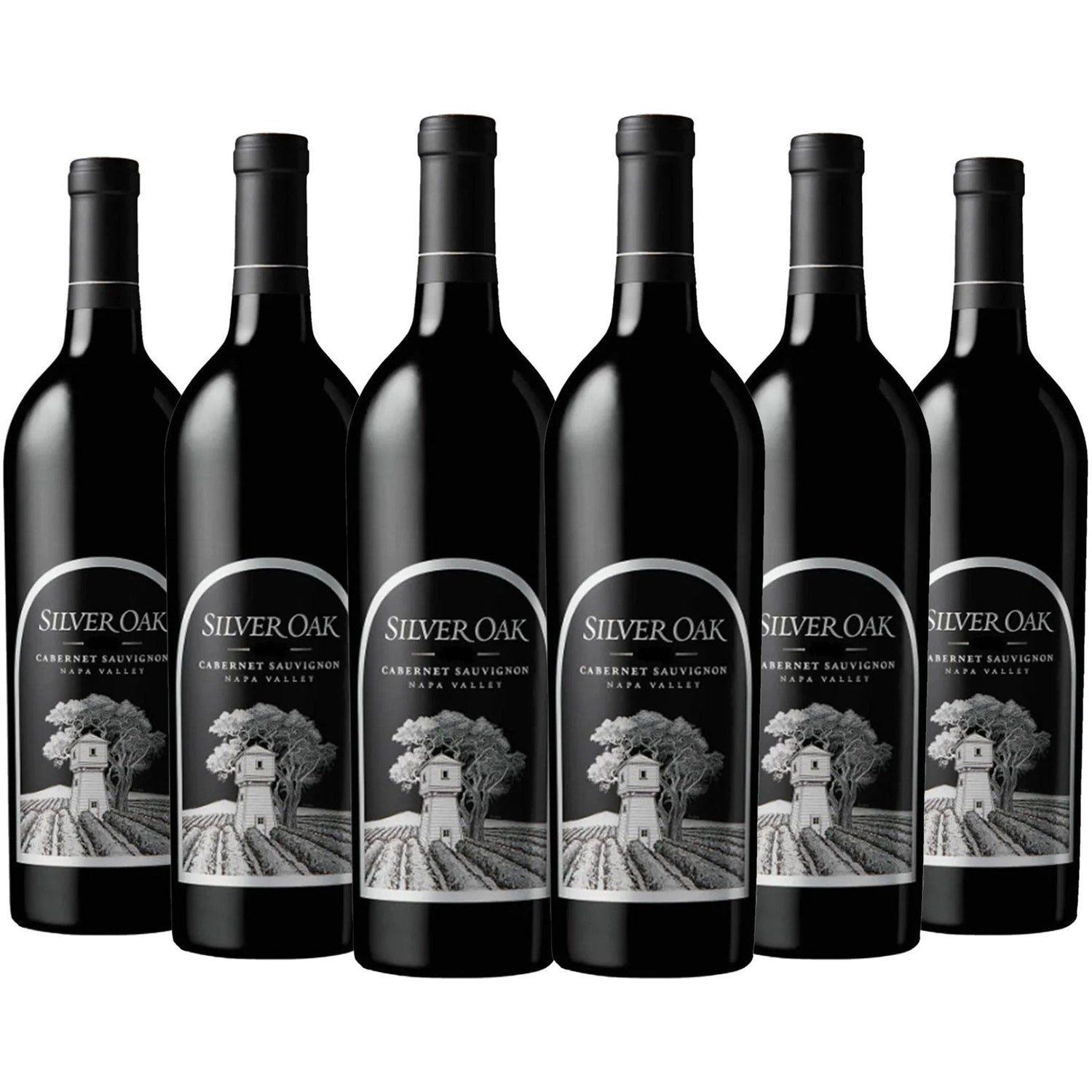 Silver Oak Cabernet Sauvignon Napa Valley 750ml - Liquor Boutique