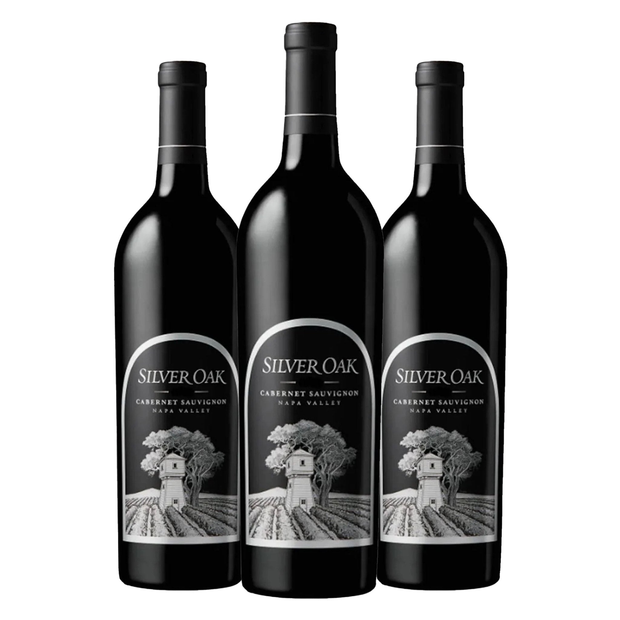 Silver Oak Cabernet Sauvignon Napa Valley 750ml - Liquor Boutique