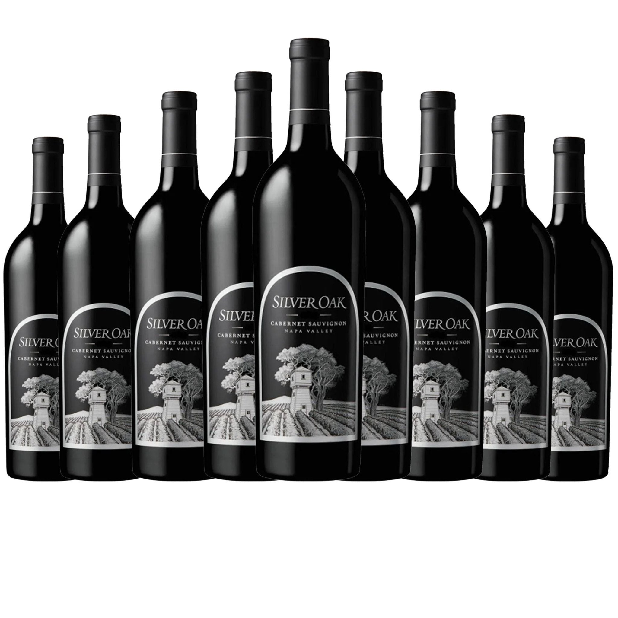 Silver Oak Cabernet Sauvignon 750ml ‘06 Silver Oak Cabernet Sauvignon Napa Valley 750ml – Liquor Boutique