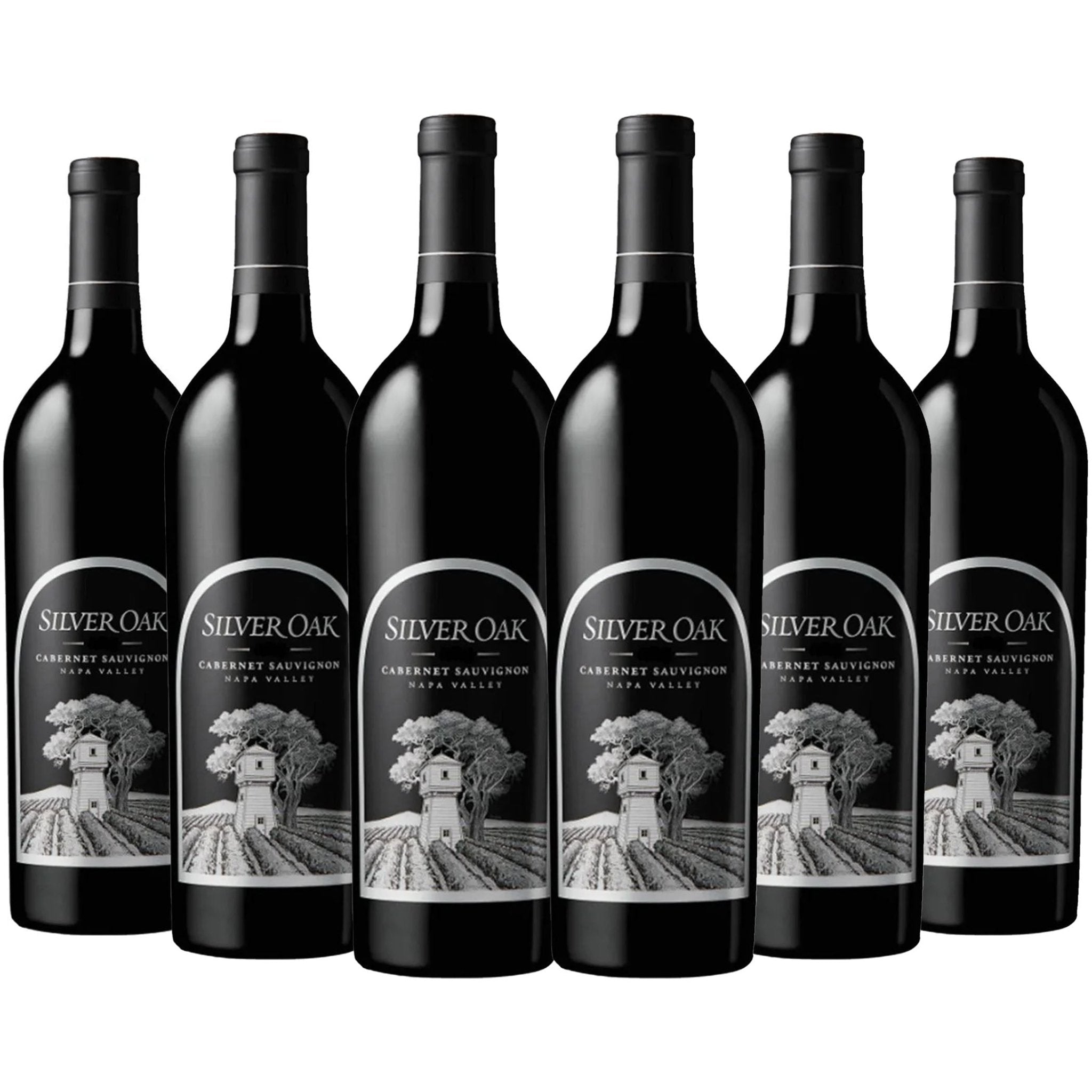 Silver Oak Cabernet Sauvignon Napa Valley 750ml - Liquor Boutique